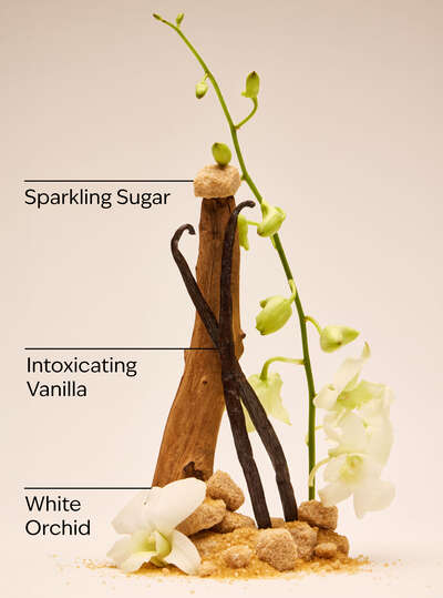 Warm Vanilla Sugar Mini Gift Set