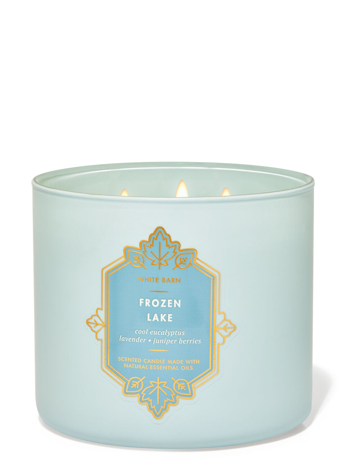 1 Bath Body Works FROZEN LAKE ICELAND Large 3-Wick Scented Candle 14.5 oz 