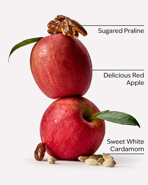 Apple Cinnamon Spice 3-Wick Candle