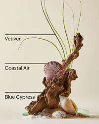Ocean Car Fragrance Refill