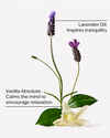Lavender Vanilla Moisturizing Body Lotion