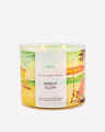 Sunlit Glow 3-Wick Candle