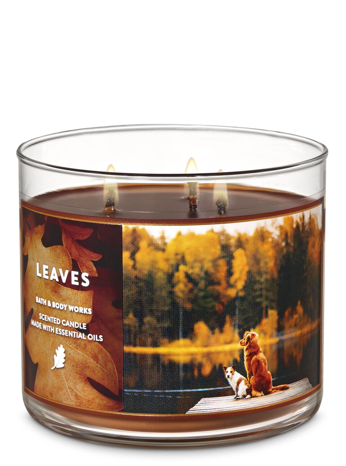 Leaves 3 Wick Candle