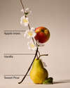 Spring Apple Wallflowers Fragrance Refill