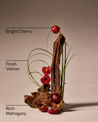 Mahogany Cherry 3-Wick Candle