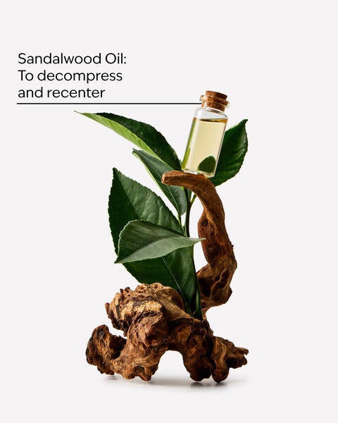 Sandalwood Ultimate Hydration Body Cream