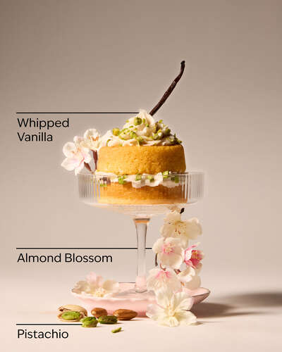 Toasted Pistachio Travel Size Fine Fragrance Mist