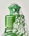 White Tea & Sage Dish Wash