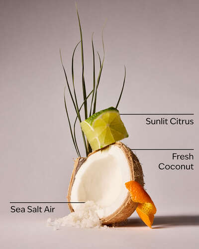 Kitchen Coconut Dish Wash