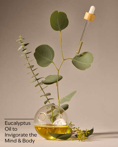 Eucalyptus Ultimate Hydration Body Cream