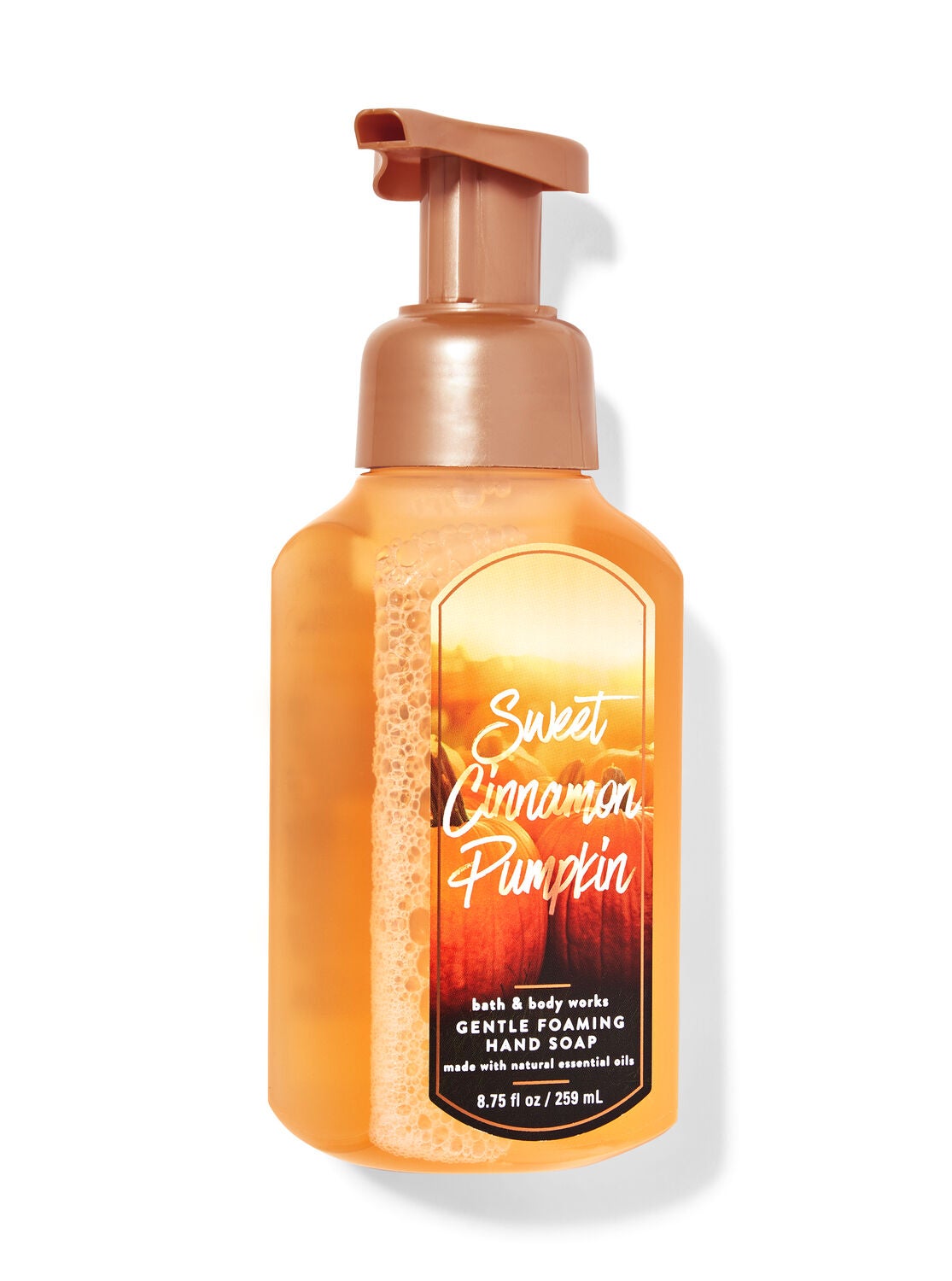 Sweet Cinnamon Pumpkin Gentle Foaming Hand Soap