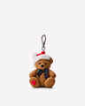 Festive Teddy Bear Pocketbac Holder