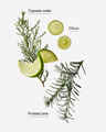 Cool Springs & Pine Daily Moisturizing Hand Soap