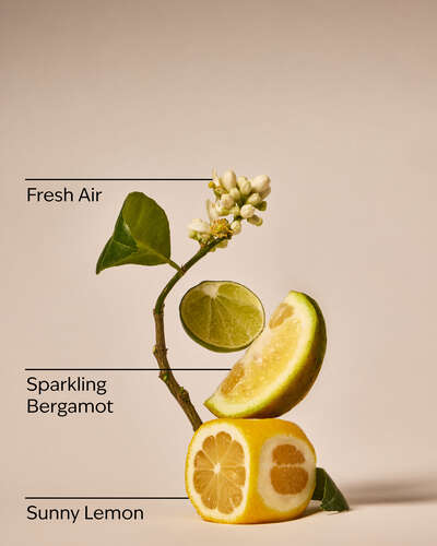 Clean House Vibes - Dazzling Citrus Wallflowers Fragrance Refill
