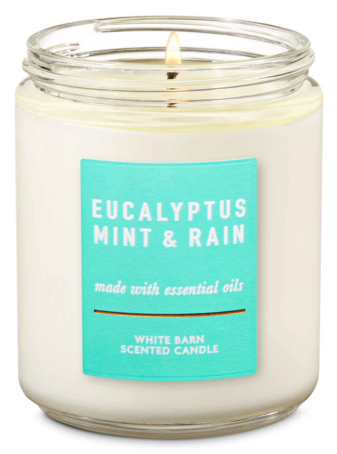 Eucalyptus Mint & Rain Single Wick Candle - Bath And Body Works