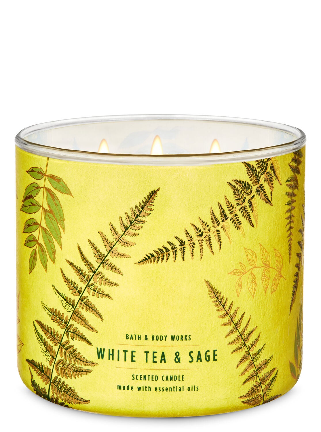 White Tea & Sage 3-Wick Candle - Bath And Body Works