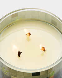 Carrot & Nectarine 3-Wick Candle