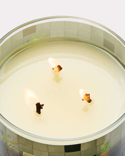 Carrot & Nectarine 3-Wick Candle