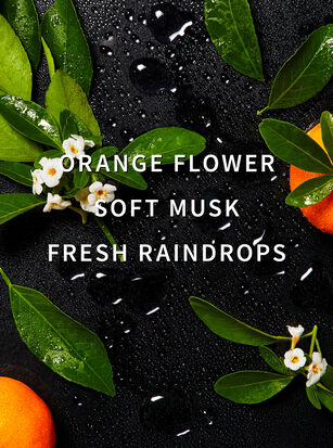 Morning Rain Fragrance Booster