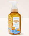 Churro Cinnamon Bun Gentle & Clean Foaming Hand Soap