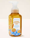 Churro Cinnamon Bun Gentle & Clean Foaming Hand Soap