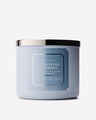 Eucalyptus Snowfall 3-Wick Candle