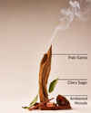 Palo Santo & Sage Concentrated Room Spray