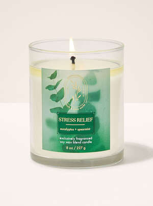 Eucalyptus Spearmint Single Wick Candle