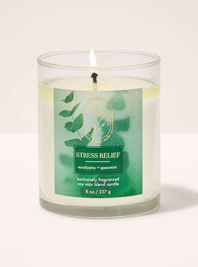 Eucalyptus Spearmint Single Wick Candle