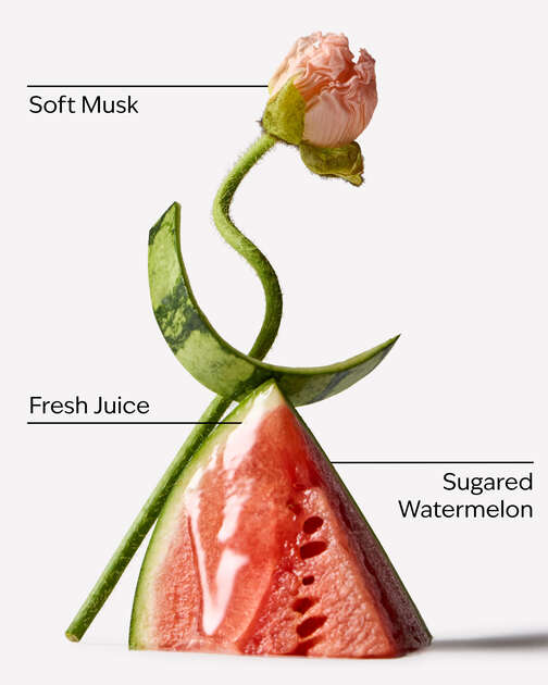 Watermelon Whirl Lip Oil