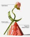 Watermelon Whirl Lip Oil