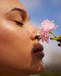 Japanese Cherry Blossom Eau De Parfum