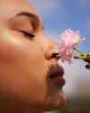 Japanese Cherry Blossom Eau De Parfum