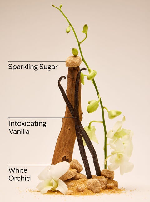 Warm Vanilla Sugar Body Lotion