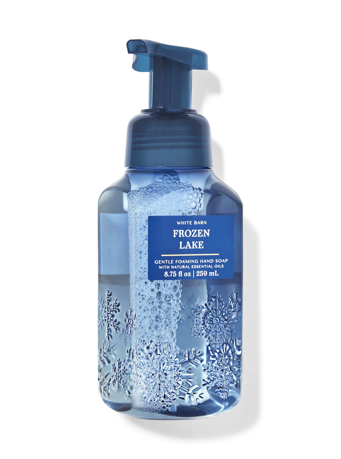 Frozen Lake Gentle Foaming Hand Soap