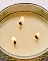 Waikiki Beach Coconut 3-Wick Candle