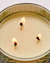 Waikiki Beach Coconut 3-Wick Candle