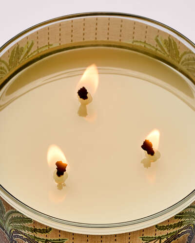 Waikiki Beach Coconut 3-Wick Candle