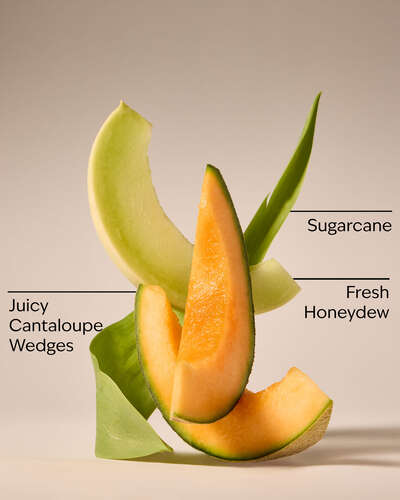 Melon Slice Wallflowers Fragrance Refill