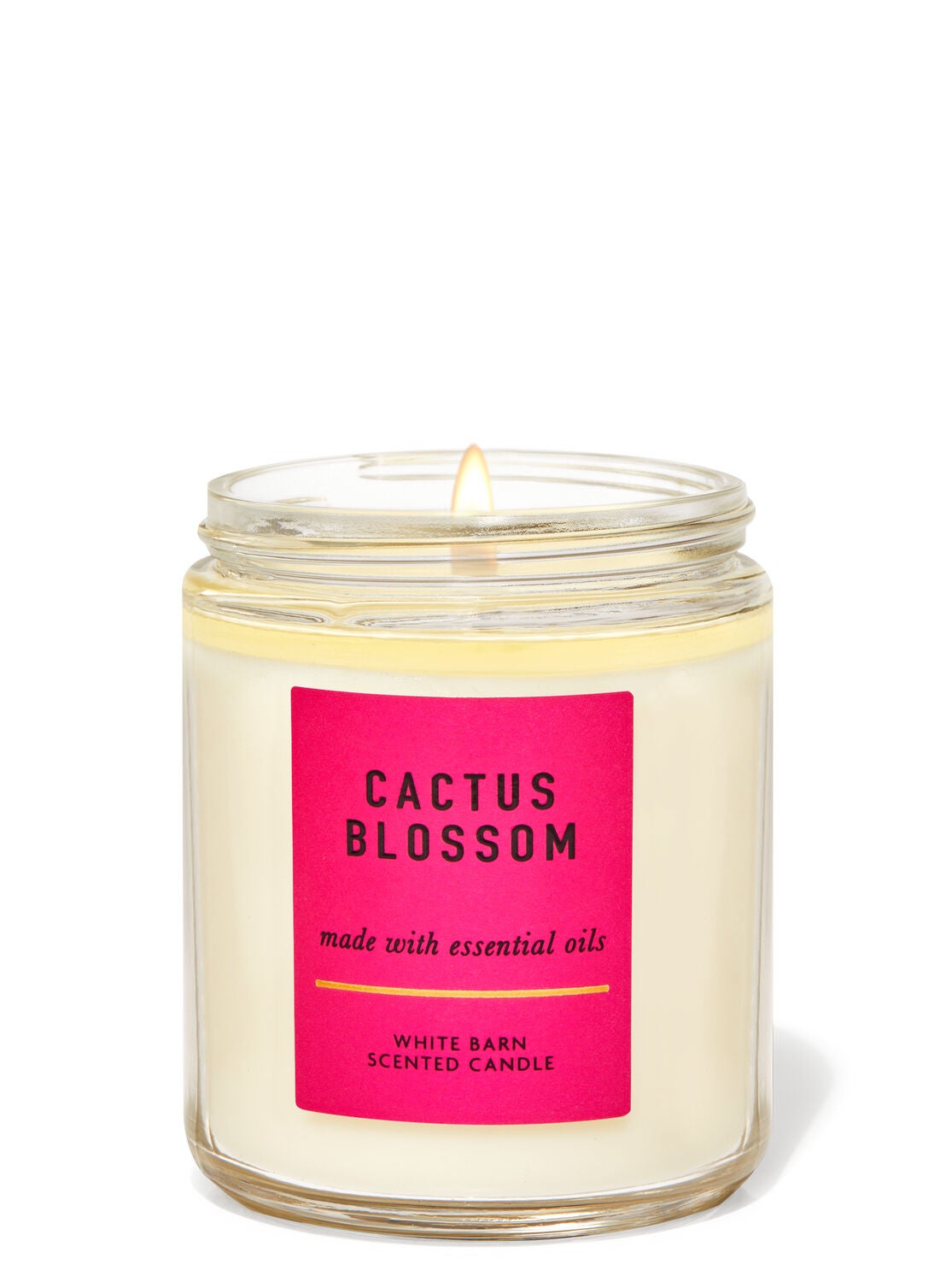 Cactus Blossom Bath Body Works