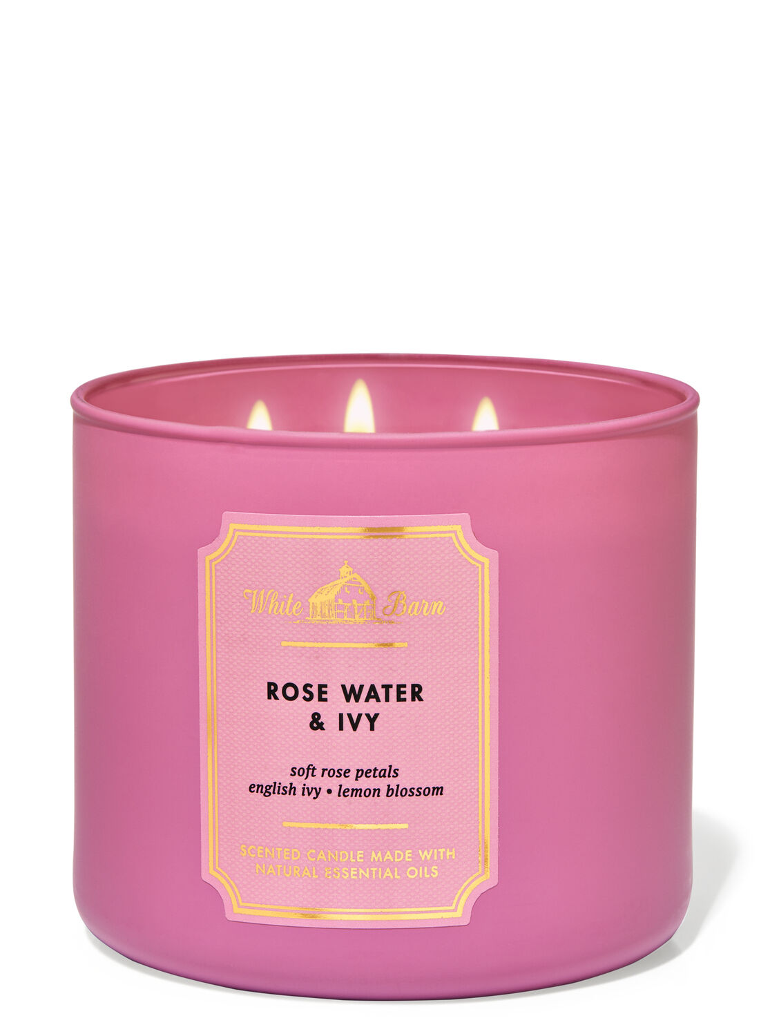 1 BATH & BODY WORKS ROSE WATER & IVY SCENTED 3-WICK LARGE 14.5 FILLED CANDLE NEW 