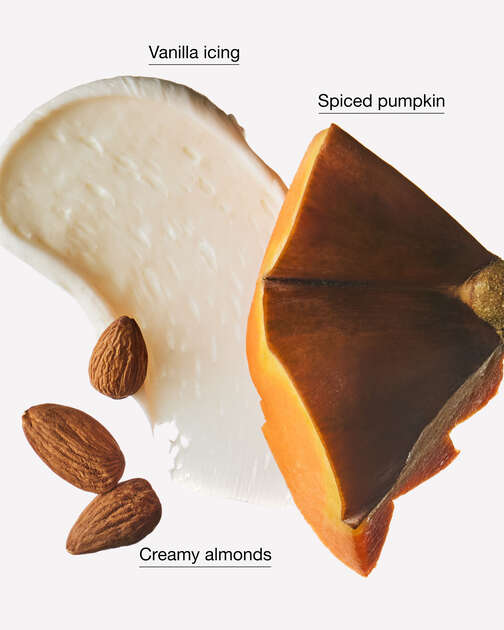 Spiced Pumpkin Crème Moisturizing PocketBac Hand Sanitizer