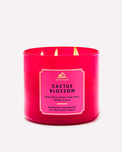 Cactus Blosom 3-Wick Candle