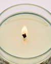 Spring Apple Single Wick Candle