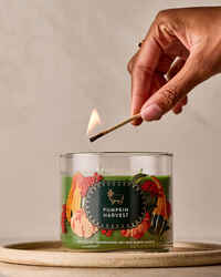 Pumpkin Harvest 3-Wick Candle