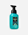 Carnival Fog Gentle & Clean Foaming Hand Soap