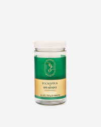 Eucalyptus Spearmint Shower Steamers