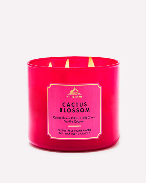 Cactus Blossom 3-Wick Candle