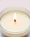 Clean House Vibes Single Wick Candle