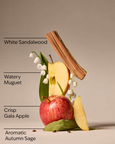 Country Apple Wallflowers Refills 2-Pack